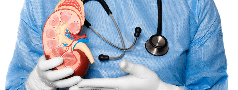 Nefrologia - Team medico
